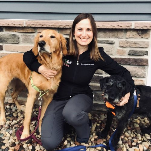 Dr. Stephanie Slavik