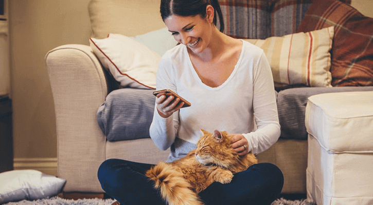 woman taking picture of cat in her lap