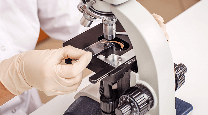 vet looking at slide under microscope vet looking at slide under microscope